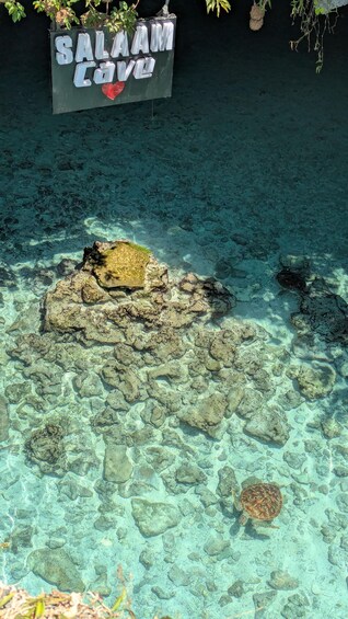 Picture 8 for Activity Zanzibar: Stone Town, Salaam Cave & Butterfly Center tour. 4