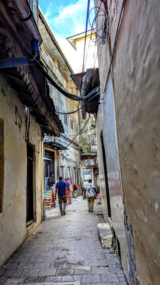 Zanzibar: Stone Town, Salaam Cave & Butterfly Center tour. 1