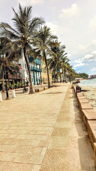 Picture 6 for Activity Zanzibar: Stone Town, Salaam Cave & Butterfly Center tour. 5