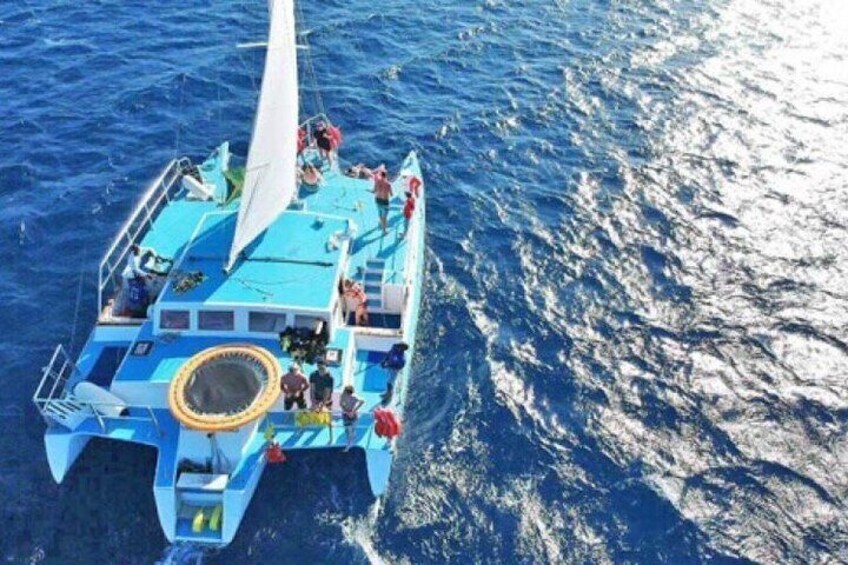 4 Hr Snorkeling and Sailing Adventure in Montego Bay 2