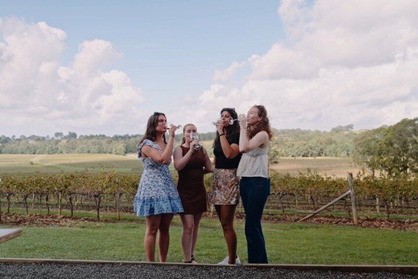 Boutique Hunter Valley Wine Tour with Local Pickup 2