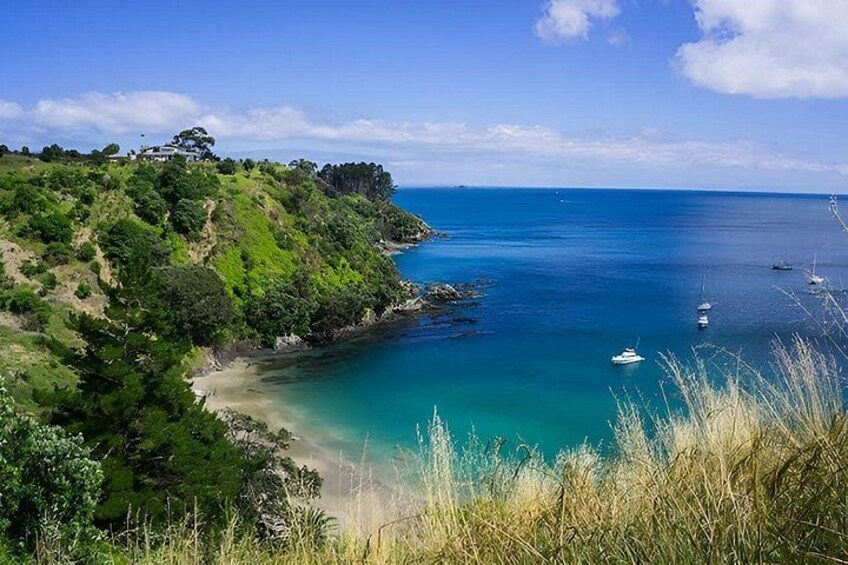 Waiheke Island Wine and Art Private Tour 5
