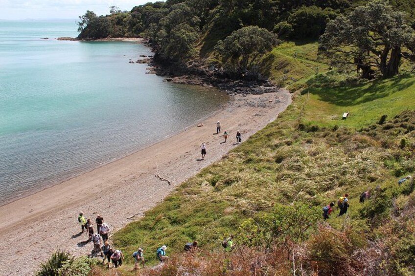 Waiheke Island Wine and Art Private Tour 2