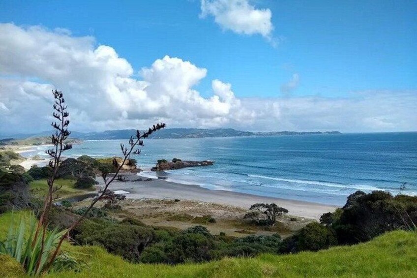 A coastal landscape with a beach, ocean, and vegetation. 5