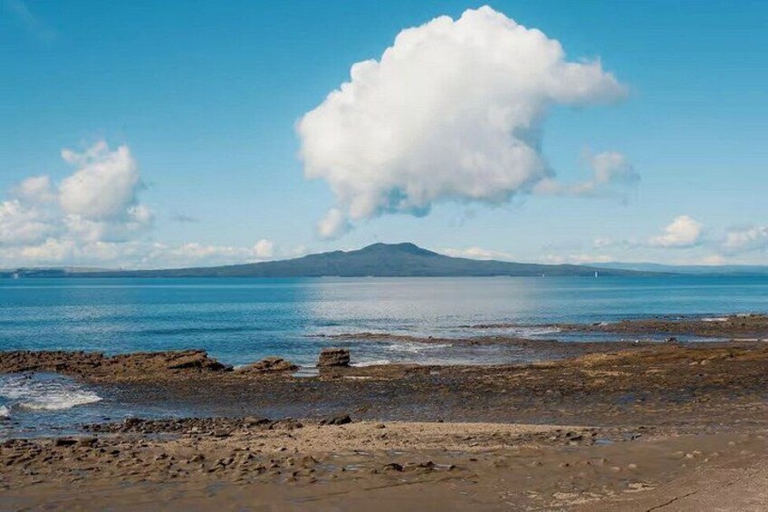 Rangitoto Island Private Tour 1