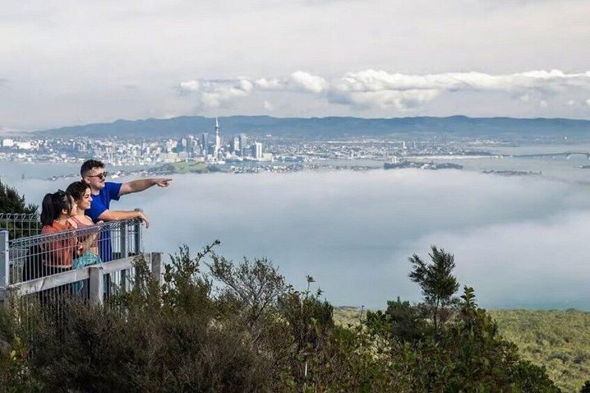Rangitoto Island Private Tour 4