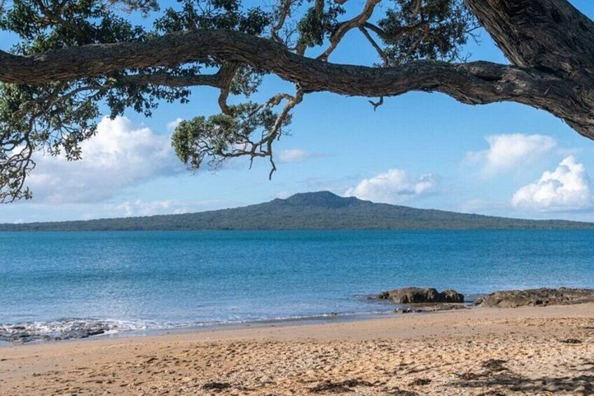 Rangitoto Island Private Tour 2