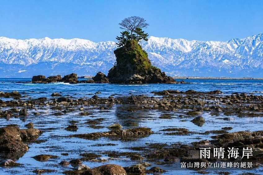 A rocky shoreline with a tree on a small island, a clear blue sky, and snow-capped mountains in the background. 2