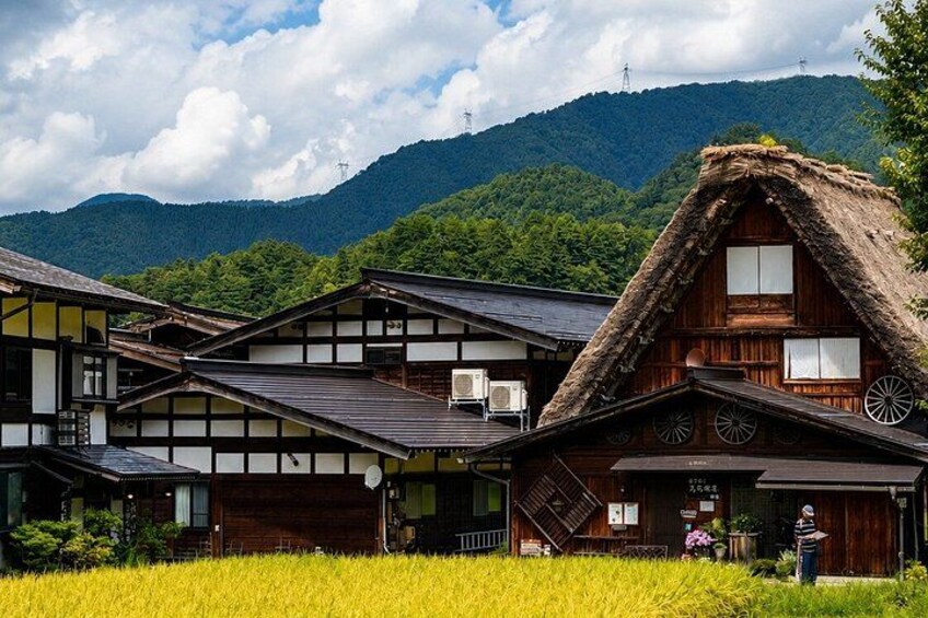 Traditional wooden houses with thatched roofs, surrounded by a field of crops, with mountains in the background. 3