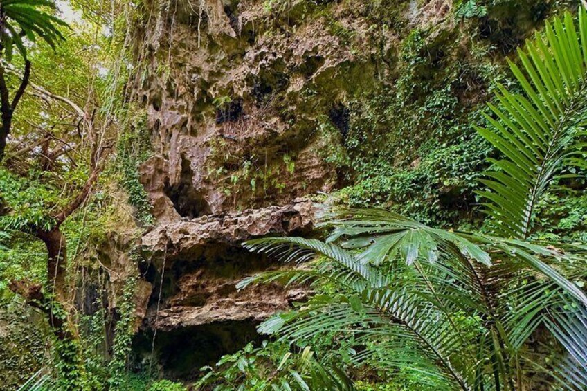 Okinawa Driving Tour with Expert Local Guide 1