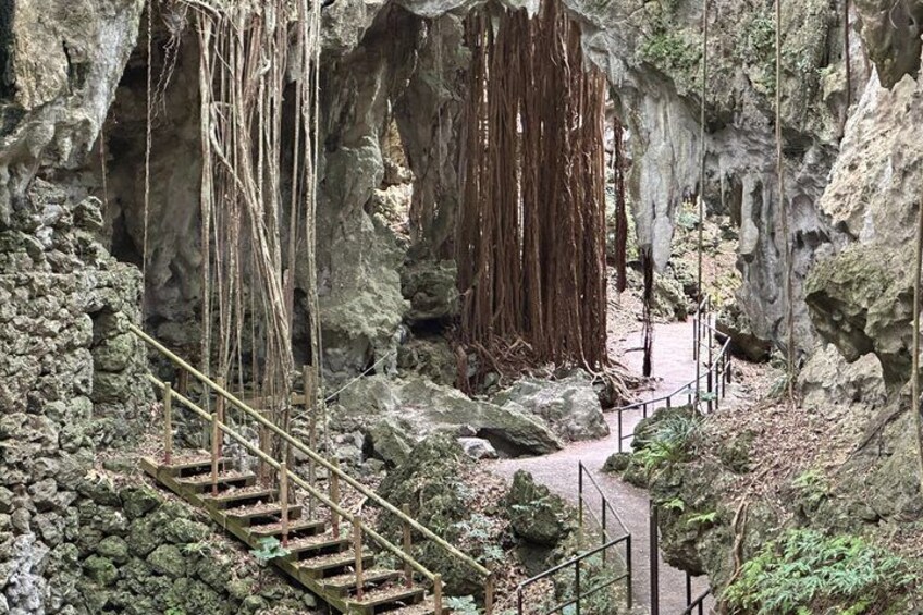 Okinawa Driving Tour with Expert Local Guide 3