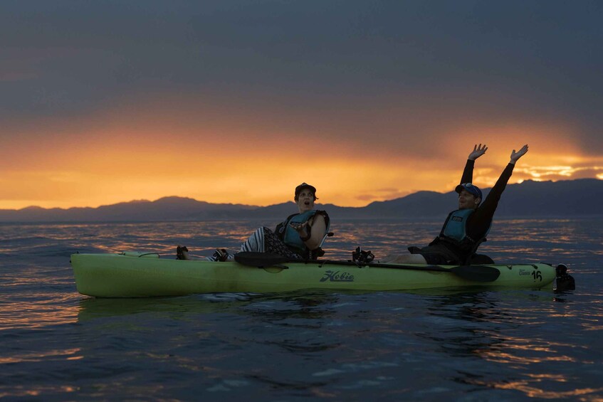 Picture 9 for Activity Kaikōura: Kayak Sunset Tour with Seal Sightings 3