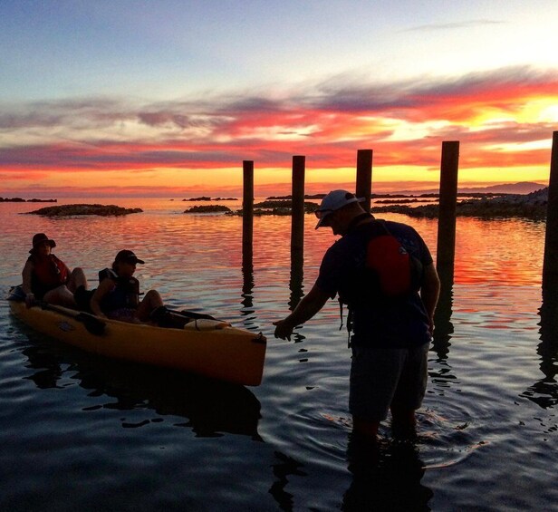 Picture 6 for Activity Kaikōura: Kayak Sunset Tour with Seal Sightings 4