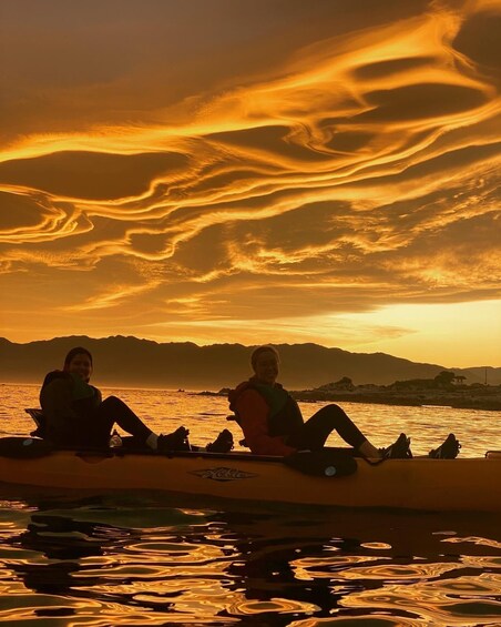 Kaikōura: Kayak Sunset Tour with Seal Sightings 1