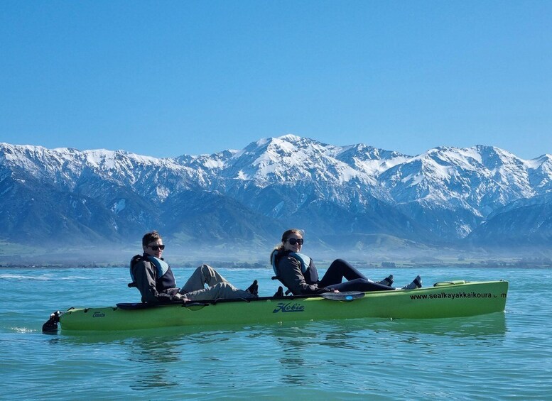 Picture 5 for Activity Kaikōura: Kayak Sunset Tour with Seal Sightings 5