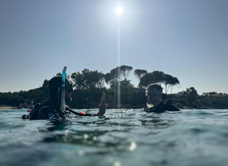 Two people snorkeling in clear water with trees and a clear sky in the background. 1