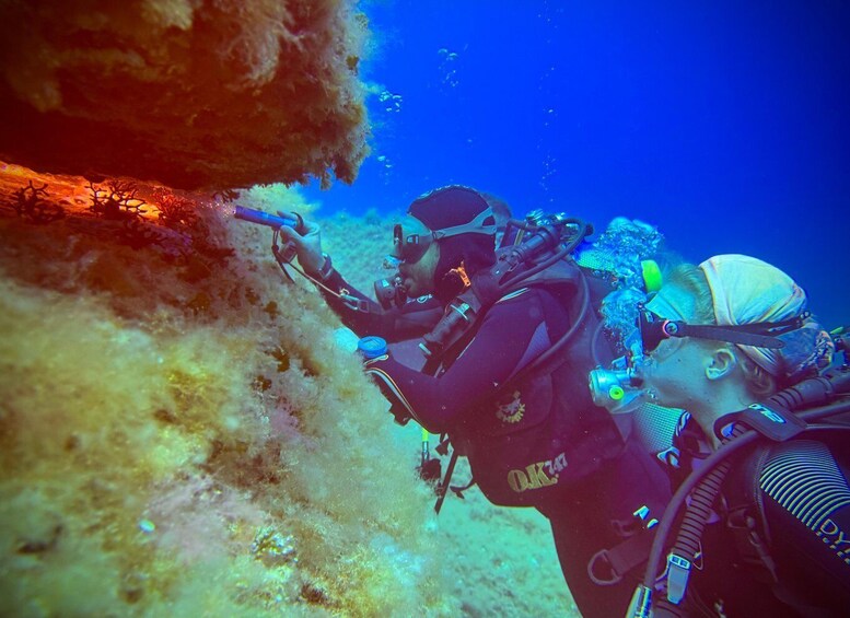 Two scuba divers exploring an underwater cave with coral formations. 5