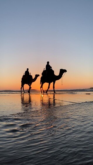 Picture 4 for Activity Quad Biking & Camel Riding Combo: Thrill Meets Tradition 4