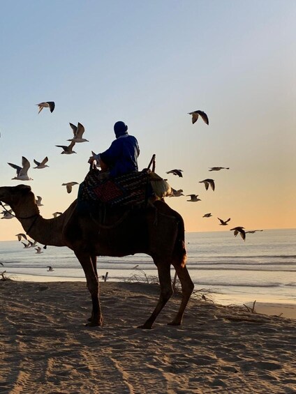 Picture 3 for Activity Quad Biking & Camel Riding Combo: Thrill Meets Tradition 2
