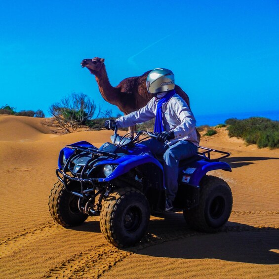Picture 1 for Activity Quad Biking & Camel Riding Combo: Thrill Meets Tradition 5