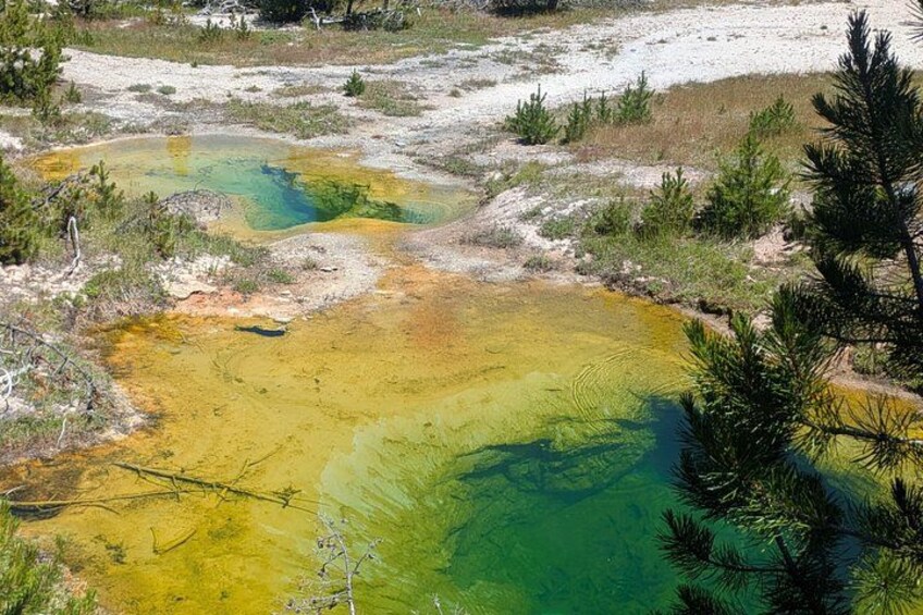 Un área geotérmica con depósitos minerales y vegetación verde. 2