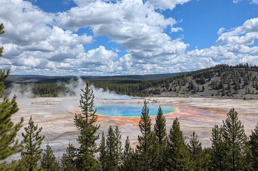 Un área geotérmica con un estanque de colores vibrantes, rodeado de árboles y una cadena montañosa boscosa. 5