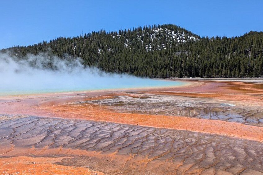 Un área geotérmica con depósitos minerales y vapor ascendiendo del suelo. 4