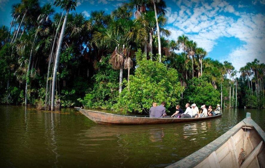 A boat with passengers on a river surrounded by dense palm trees. 1