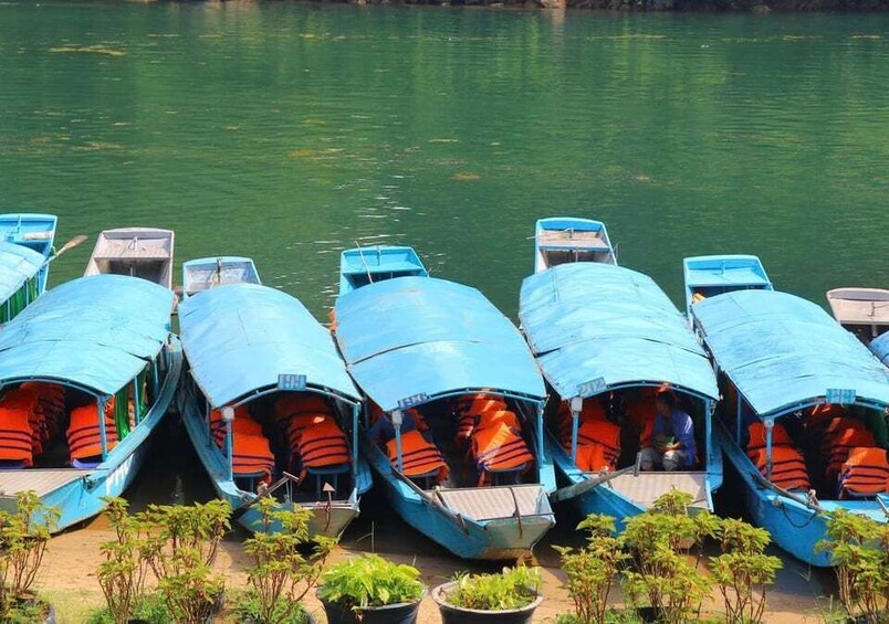 Picture 6 for Activity Trek Botanic Garden & Discover Phong Nha Cave Boat Tour 5