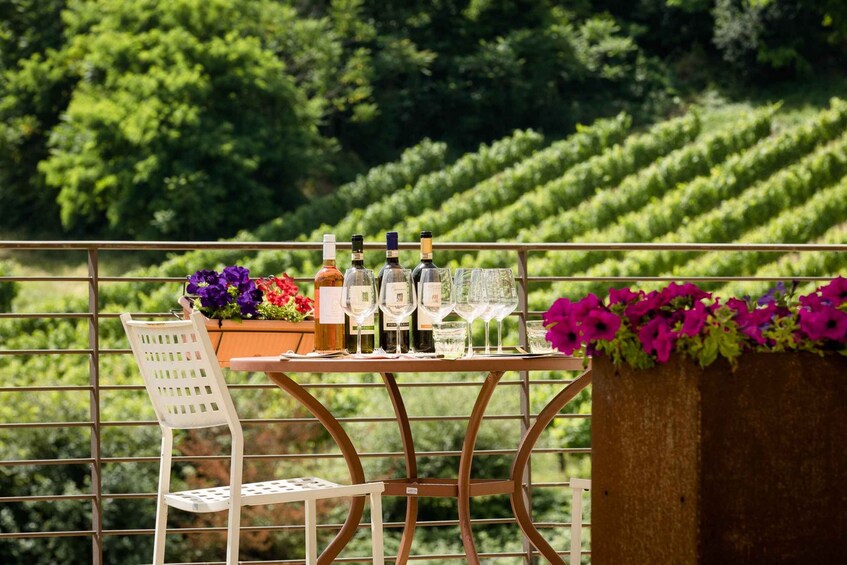 A table set outdoors with wine bottles and glasses, surrounded by flowers and a chair, with a vineyard in the background. 1