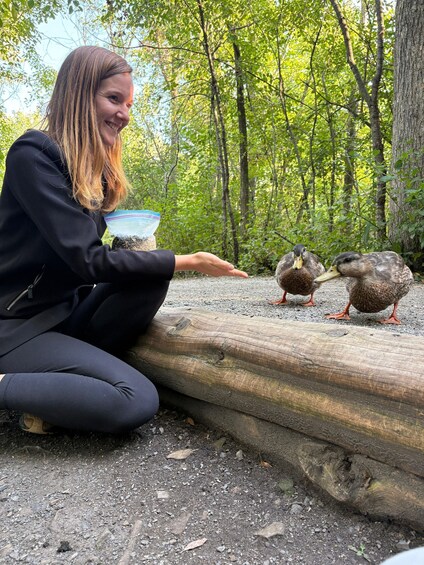 Picture 15 for Activity Ottawa: Hand-Feed Wild Birds on a Nature Walk with Transfer 3