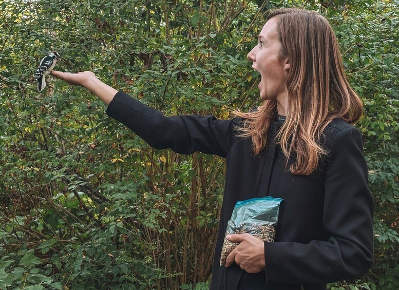 Ottawa: Hand-Feed Wild Birds on a Nature Walk with Transfer 1