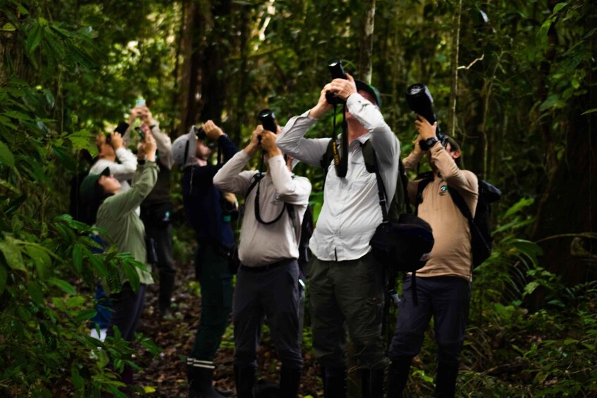 Picture 2 for Activity Cusco: Jungle Adventure Tour with Outdoor Activities 3