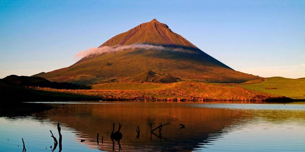 Pico Island: Tours on Pico Island 1