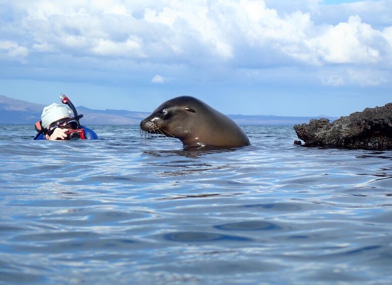 Picture 2 for Activity Galápagos: San Cristóbal Island Bike Tour with Swim 2