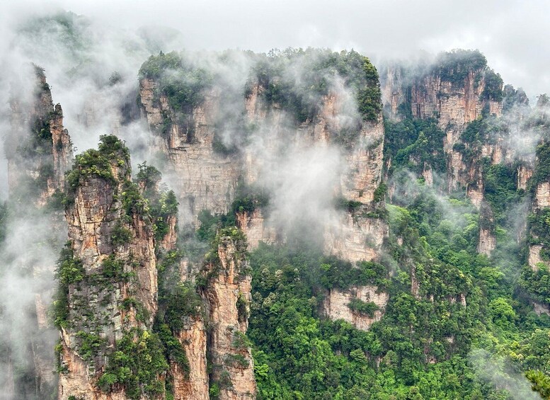 Picture 19 for Activity Classic One Day Tour for Avatar Mount and Tianzi mountain 3