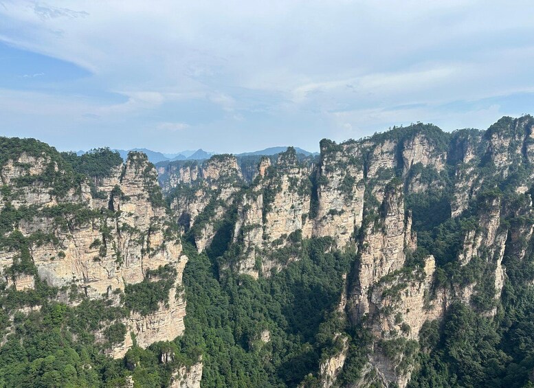 Picture 14 for Activity Classic One Day Tour for Avatar Mount and Tianzi mountain 2