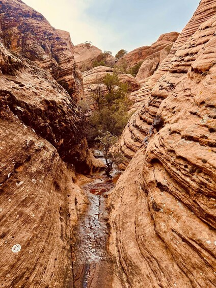 A canyon with layered rock formations and a narrow stream. 2