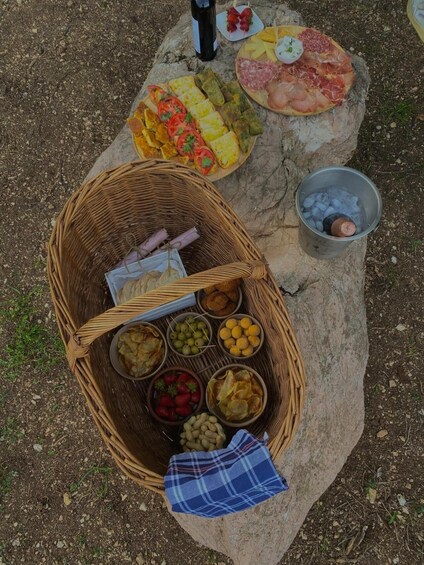 Picture 12 for Activity EXPERIENCE THE THRILL OF TRUFFLE HUNTING AND THE FLAVORS OF UMBRIA 4