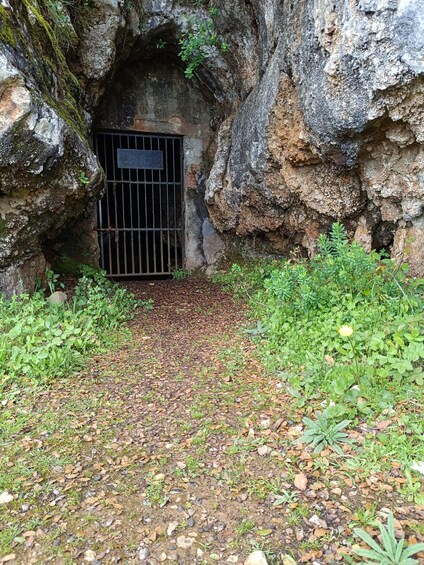 Picture 3 for Activity Serra dos Candeeiros by Van: Natural Park and Cave 2