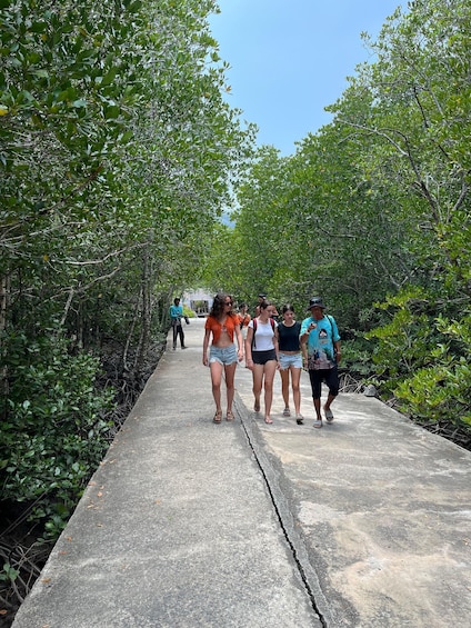A group of people walking on a concrete path surrounded by dense greenery. 3