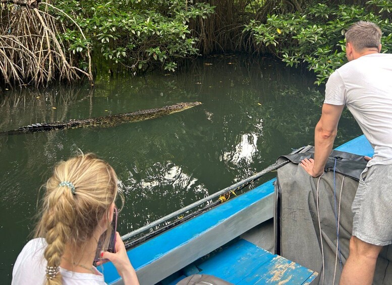 Picture 2 for Activity 2h Bentota River Safari: Crocs, Monkeys, Mangrove & more 3