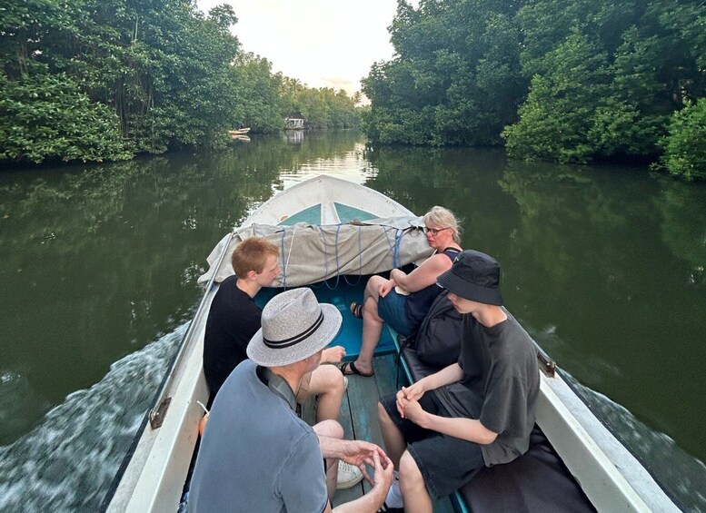 Picture 3 for Activity 2h Bentota River Safari: Crocs, Monkeys, Mangrove & more 4