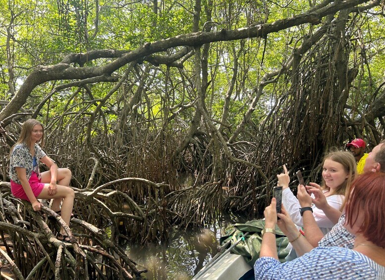 Picture 6 for Activity 2h Bentota River Safari: Crocs, Monkeys, Mangrove & more 5