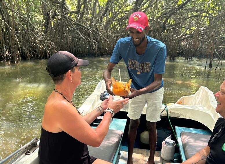 Picture 4 for Activity 2h Bentota River Safari: Crocs, Monkeys, Mangrove & more 2