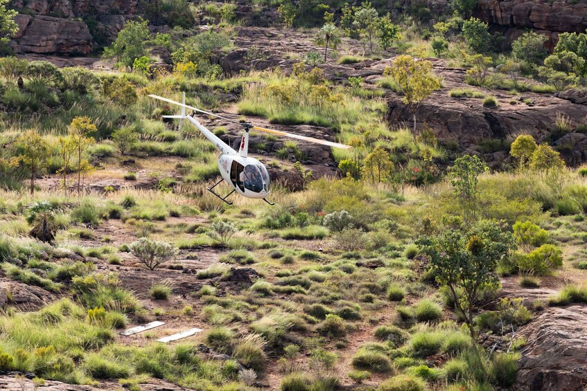 Picture 4 for Activity Katherine Gorge Heli Flight and Rock Art Tour 4