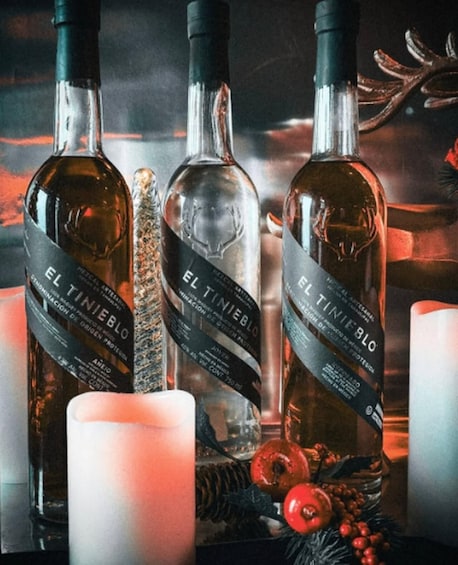Picture 2 for Activity Monterrey: Mezcal Tasting 2