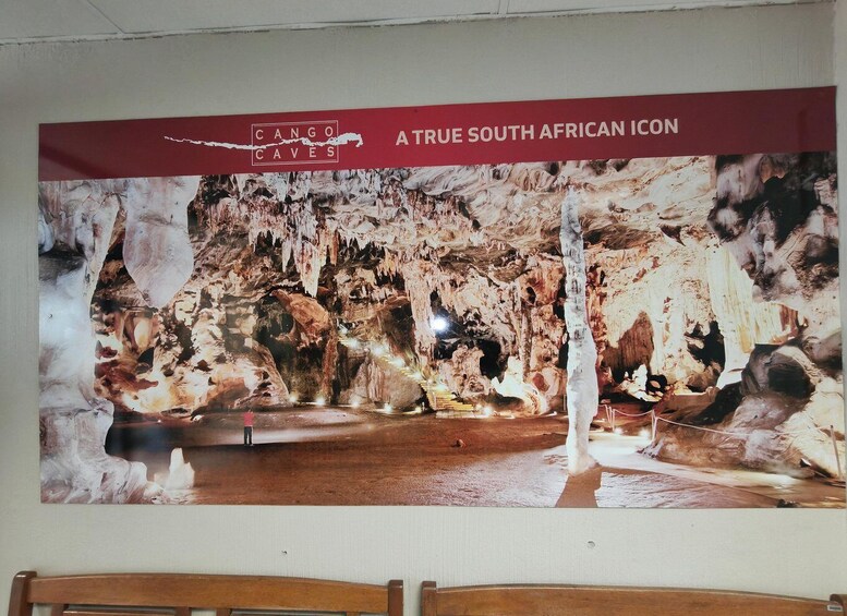 Picture 33 for Activity Port Elizabeth: 3-Day Garden Route Tour with Lodging 2