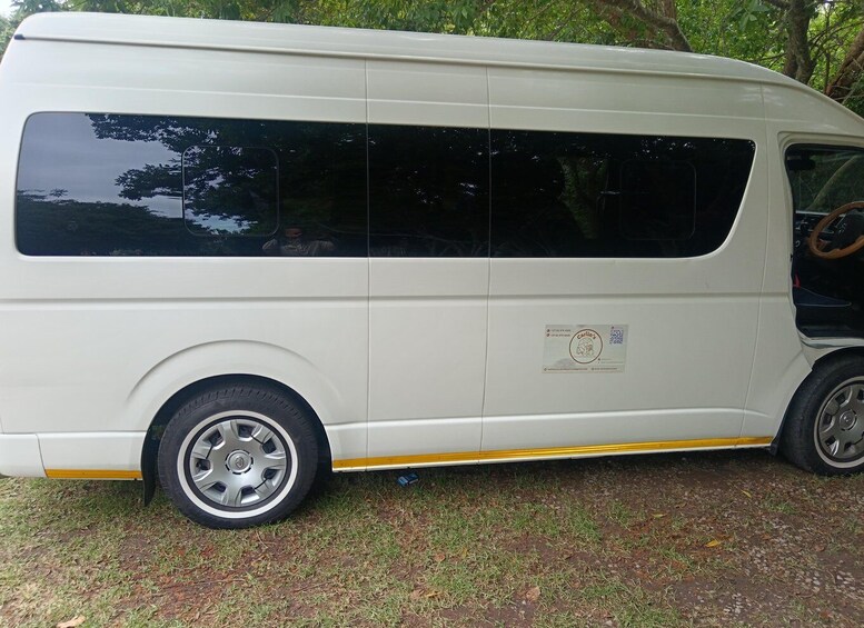 Picture 22 for Activity Port Elizabeth: 3-Day Garden Route Tour with Lodging 3