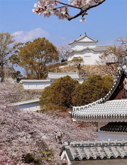Osaka: Himeji Castle&Arima Onsen&Mount Maya Trip-small group 1